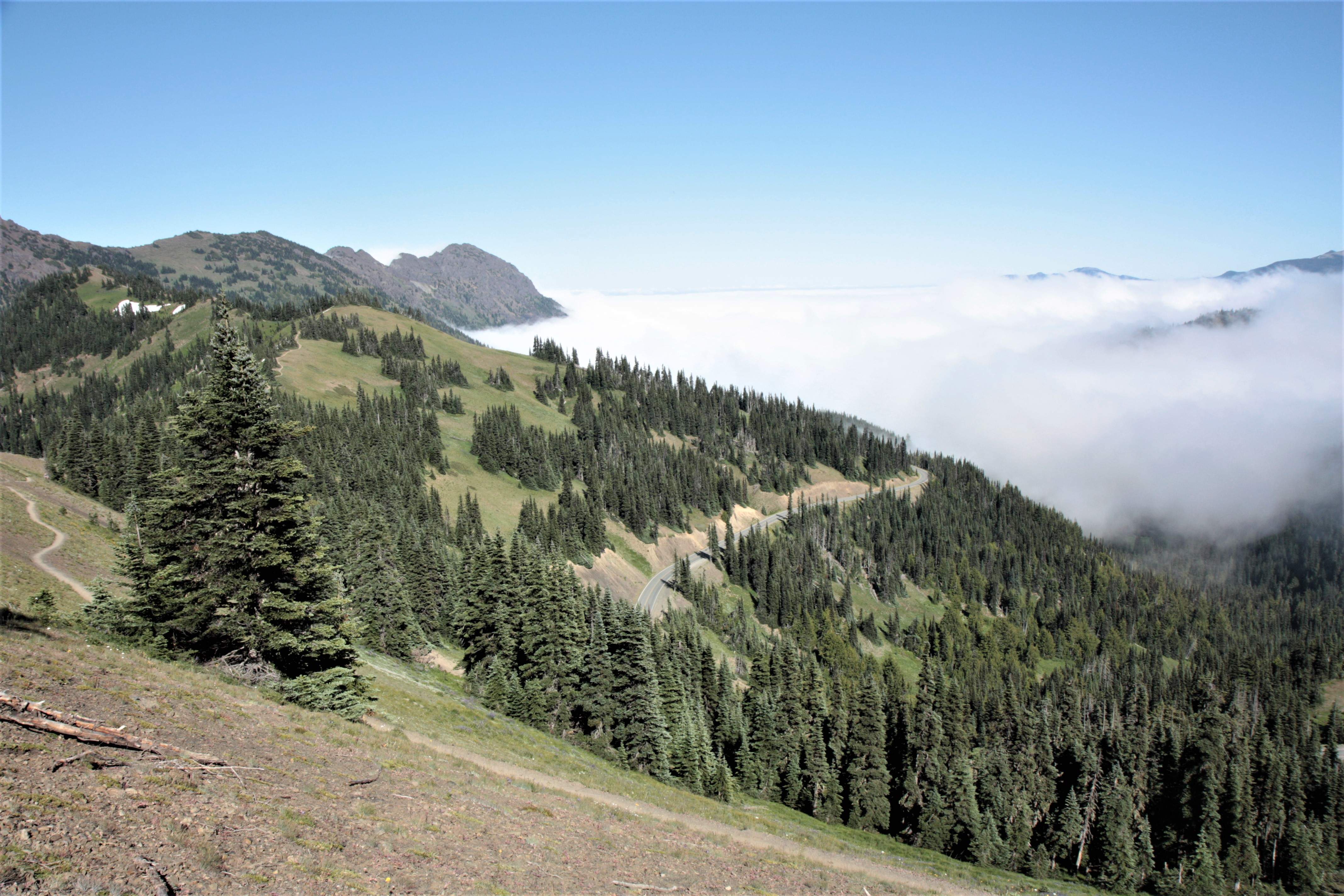 Olympic NP